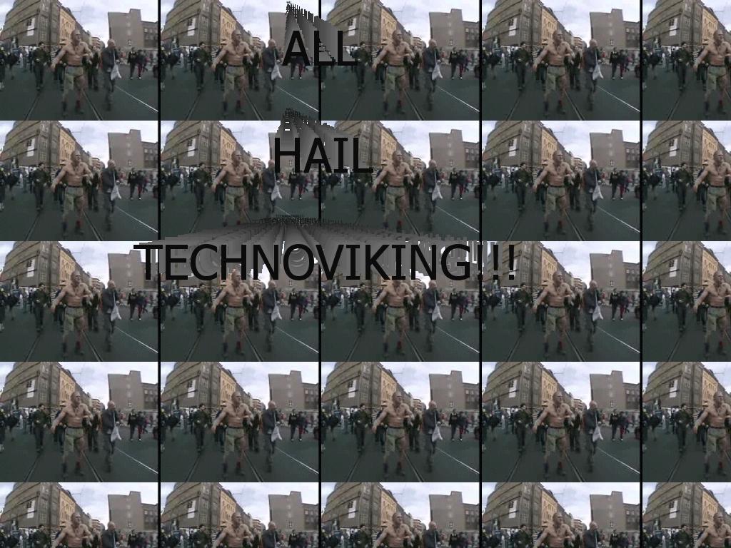 technoviking