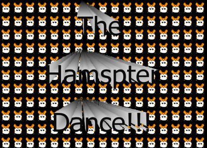 Hampster Dance?