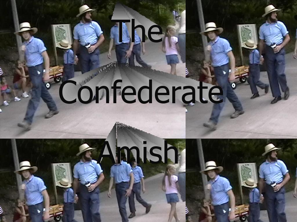 confederateamish