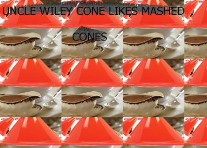 CONETMND: Mashed Cones