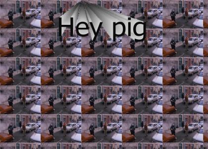 Hey Pig