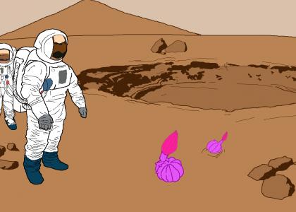 Life on Mars pt.2