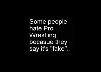 So you hate pro wrestling