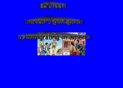 Illegal Immigrants Guide to Amerika