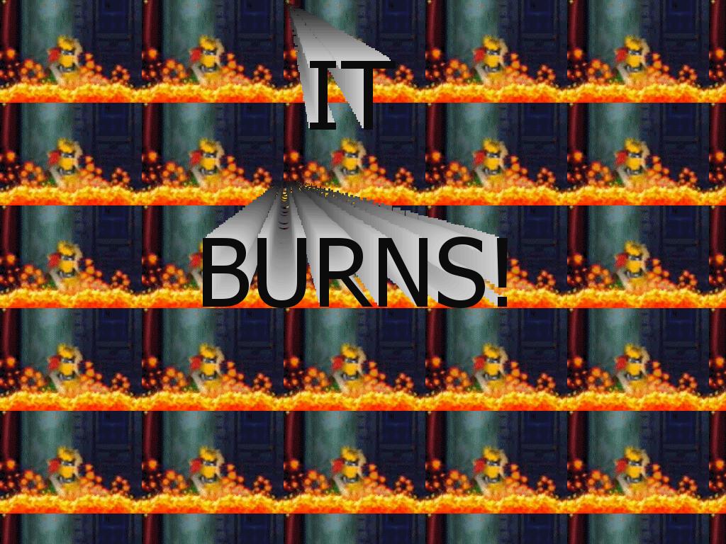 BowserItBurns