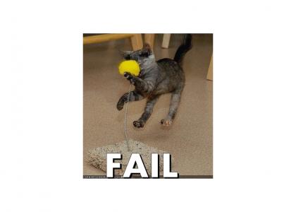 LOLcats aren't very skilled.