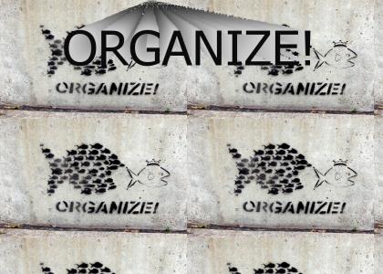 Organize!