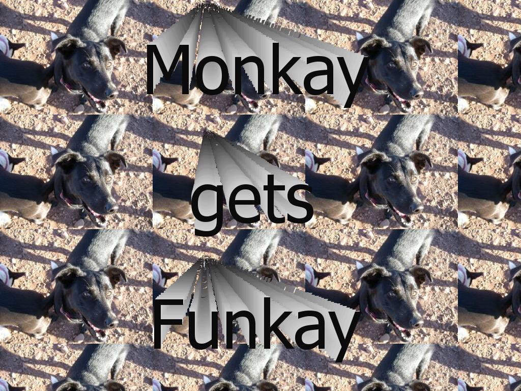 funkaymonkay