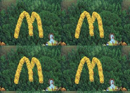 OMG Secret McDonalds Forest !!