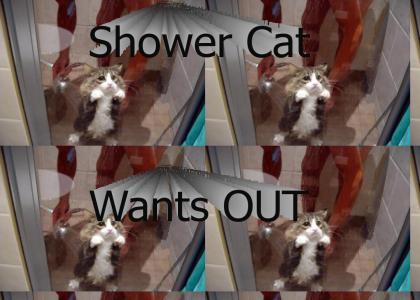 Shower Cat Wants OUT