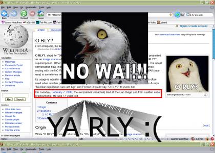 can't believe o rly owl is dead...!! :(