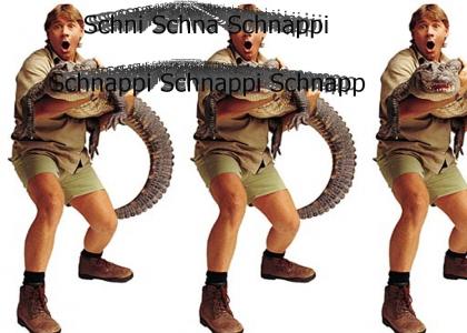 Steve Irwin, der Krokodiljäger