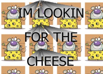 Lookin' for the Cheese