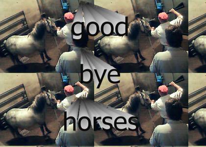 Good Bye Horses