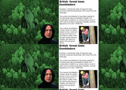 OMG, Secret Dumbledore Forest !!