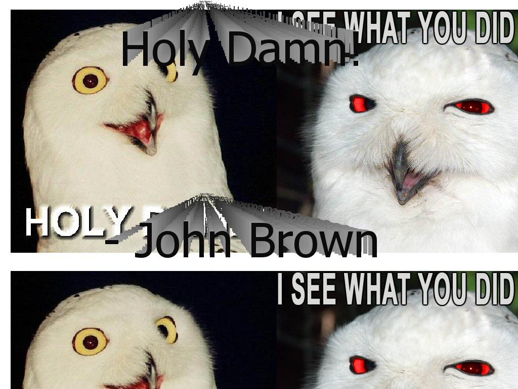 holydamnowl