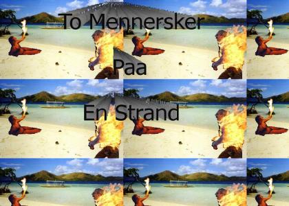 To Mennesker Paa En Strand