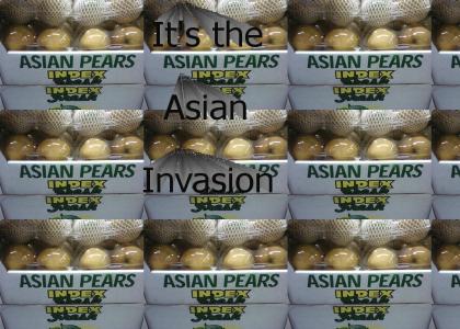 asian pears