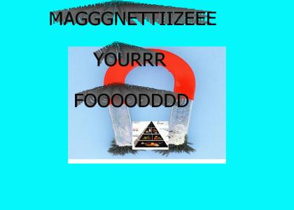 Magnetize Your Food Pt. 3