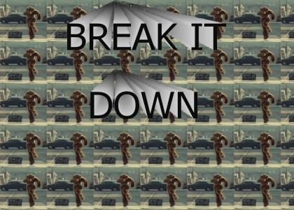 Break It down Bear