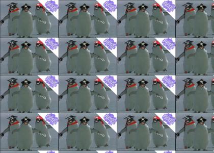 PTKFGS: pirate penguins