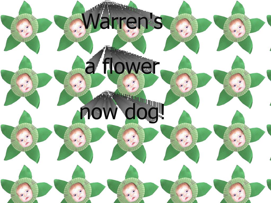 warrenrobert