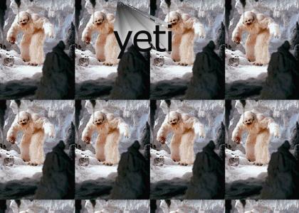 yeti yeti