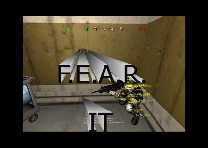 F.E.A.R IT