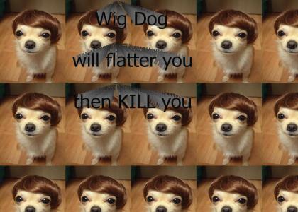 Wig Dog