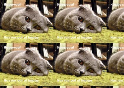 Happy cat has REALLY run out of happy