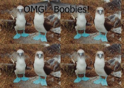 Boobies!!  YEEESSS!