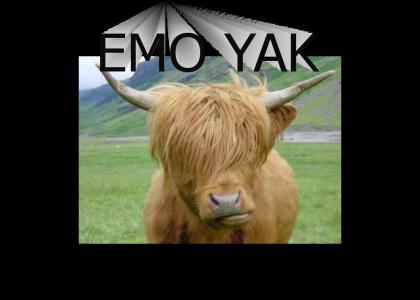there has been alot of emo going around