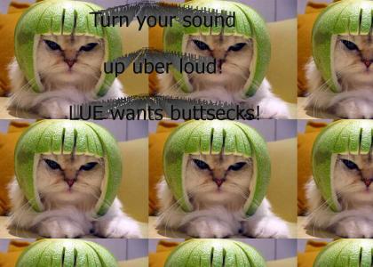 WTF TEH LIMECAT