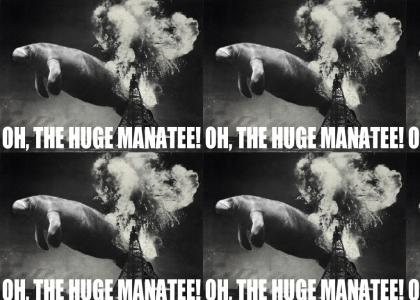 Oh The Huge Manatee!!!