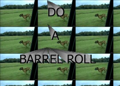 DO A BARREL ROLL