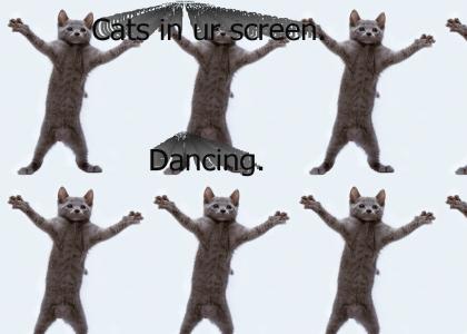 Cats in ur screen.