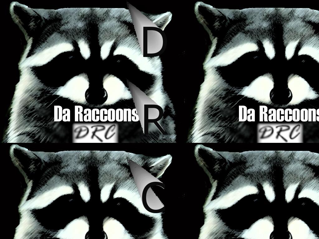 daraccoons