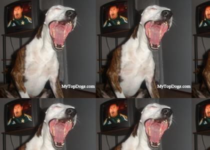 dog belts out a face melter