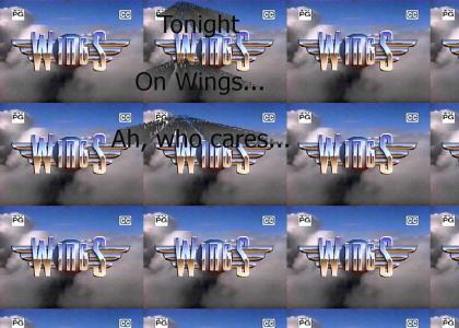 Tonight on Wings...ah, who cares?