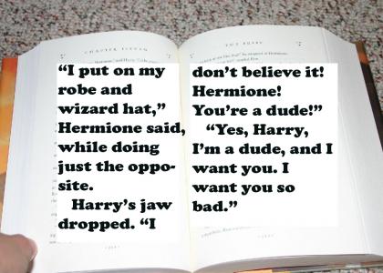Hermione pulls out her wand (Spoiler)