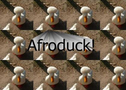 Afroduck