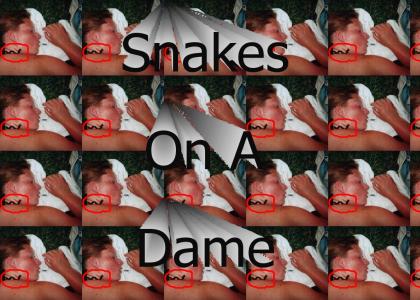 Snakes on a dame