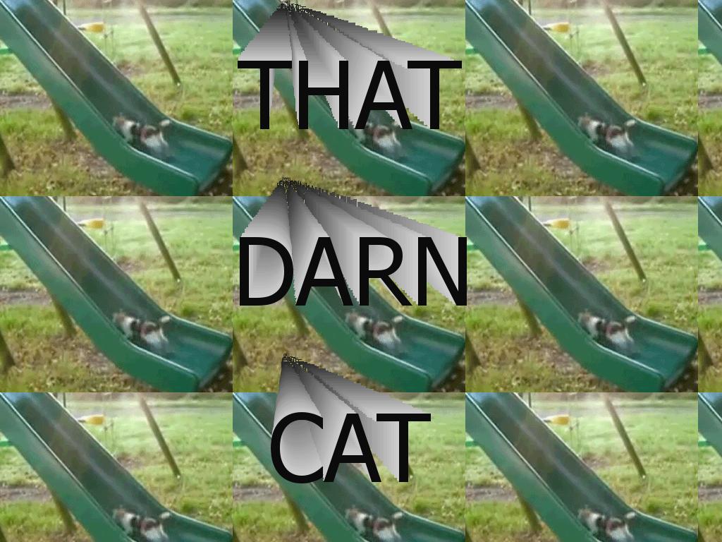 thatdarncat