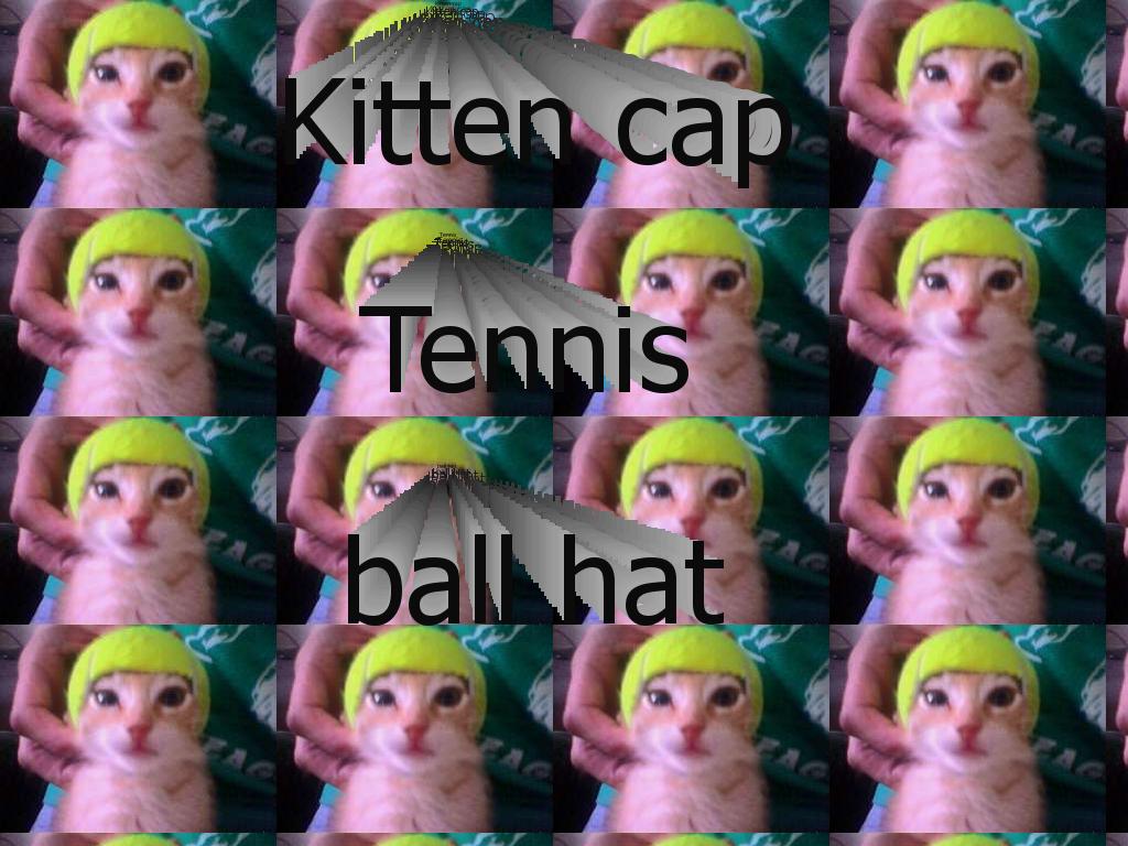 kittenhat