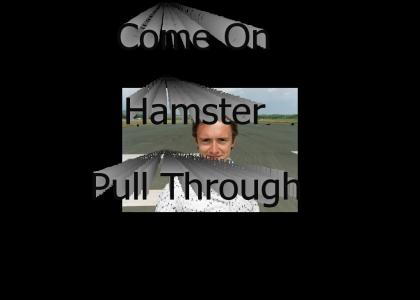 Come on Hamster!