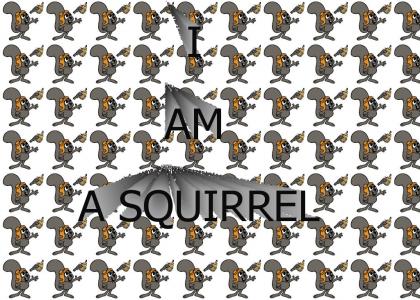 squirrel