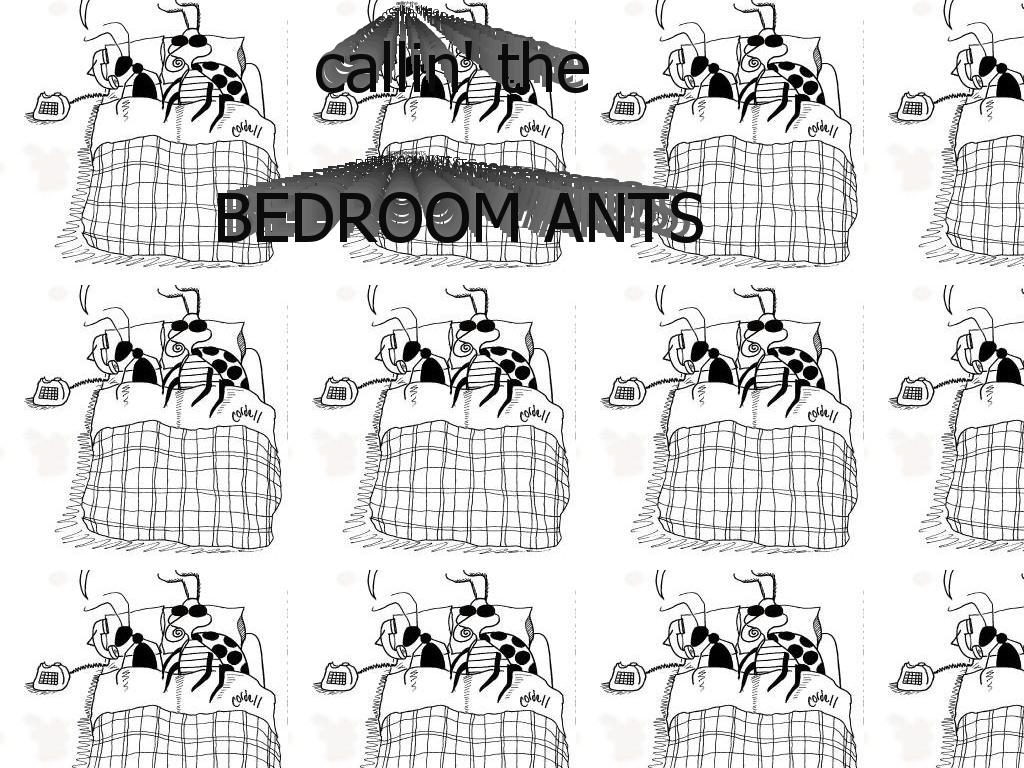 bedroomants