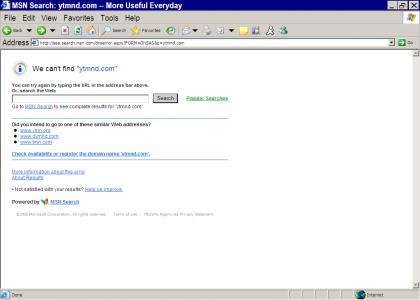 Microsoft IE Search Fails At The Bleeding Obvious