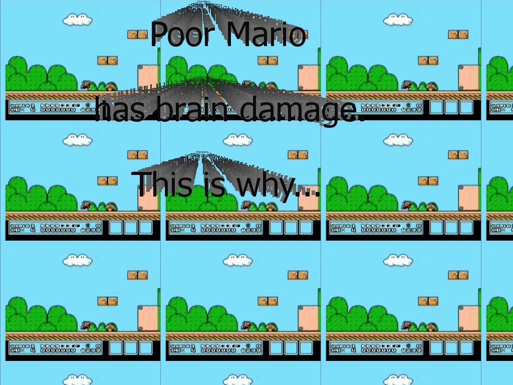 mariohasbraindamage