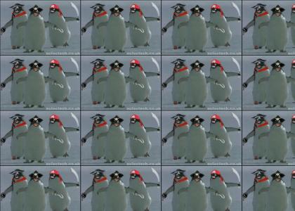 Pirate Penguins ARRRR!!